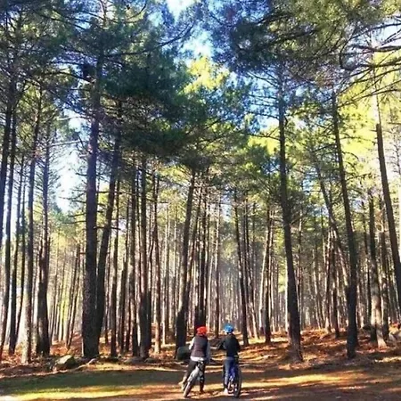 Apartament Atico Sur De Gredos *